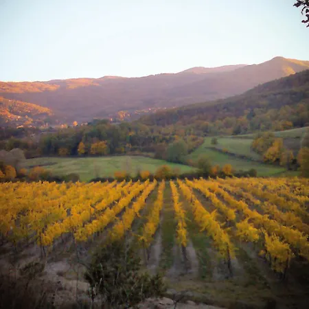 Borgo Ornina Farm stay *