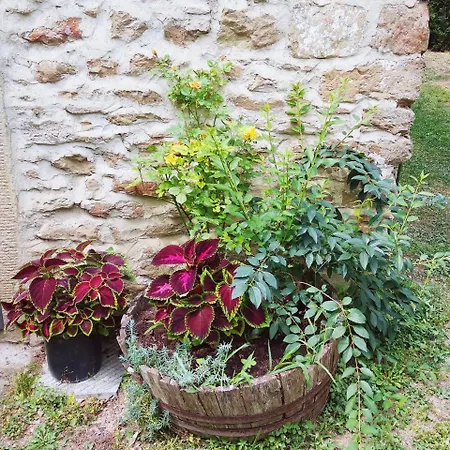 Farm stay Borgo Ornina