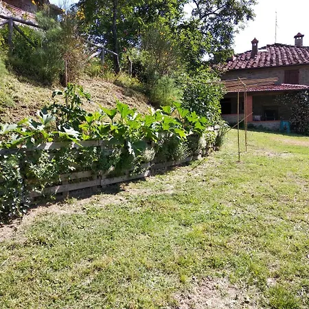Farm stay Borgo Ornina *