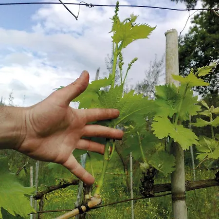 ファームステイ Borgo Ornina Salutio