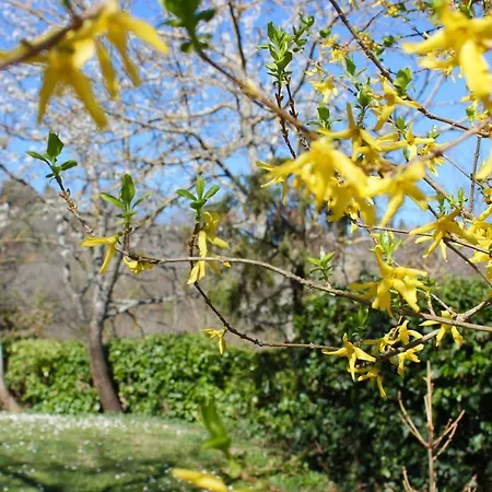 Borgo Ornina ファームステイ *